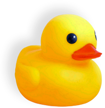 rubber ducky